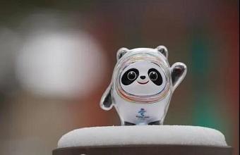 “冰墩墩”、、、“雪容融”商标也抢手，，已被成功注册！！